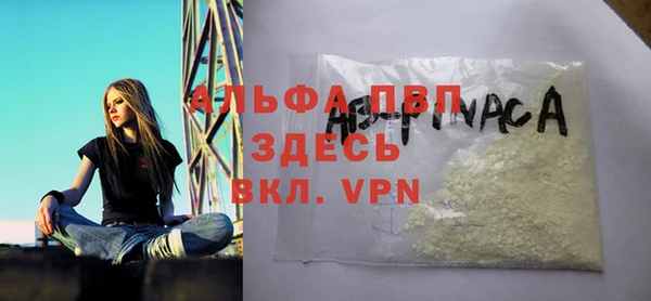 Альфа ПВП Горняк
