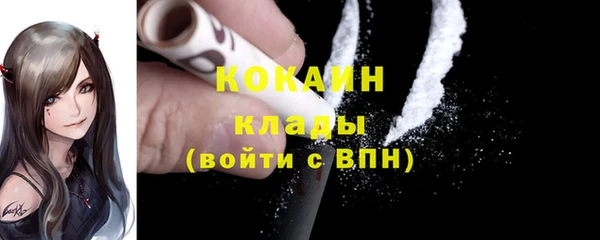 Альфа ПВП Горняк