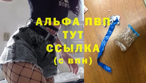 Альфа ПВП Горняк