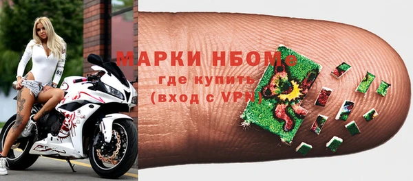 Альфа ПВП Горняк