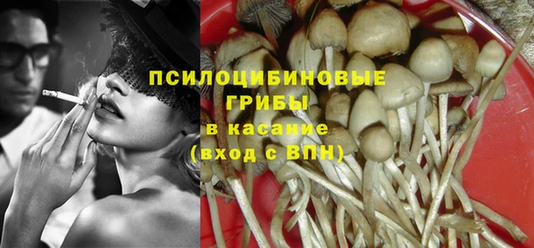 Альфа ПВП Горняк