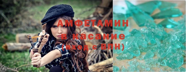 Альфа ПВП Горняк