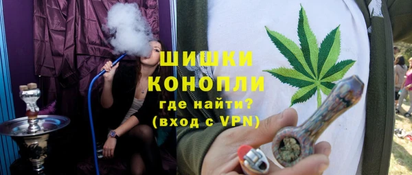 Альфа ПВП Горняк