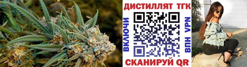 Купить закладки  Венёв  Дистиллят ТГК Wax 