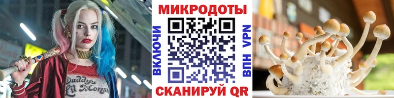 Галлюциногенные грибы Magic Shrooms  Купить  Венёв 
